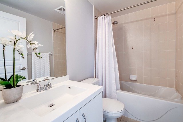 Small Bathroom Remodel